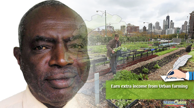 Earn extra income from Urban farming