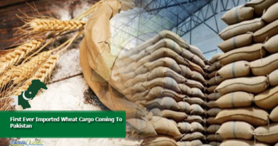 First Ever Imported Wheat Cargo Coming To Pakistan
