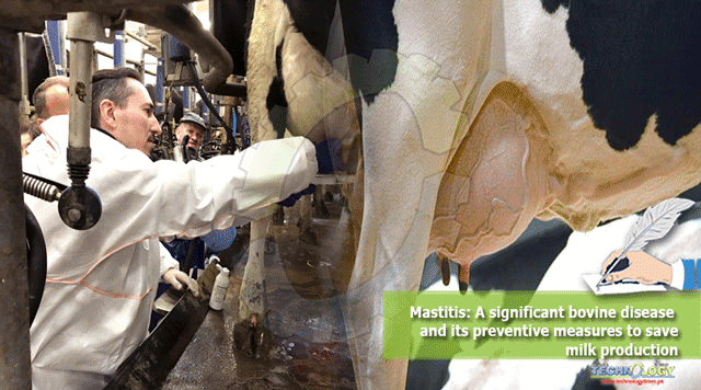 Mastitis-A-significant-bovine-disease-and-its-preventive-measures-to-save-milk-production