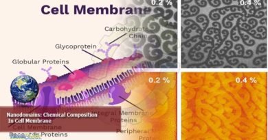 Nanodomains: Chemical composition in cell membrane