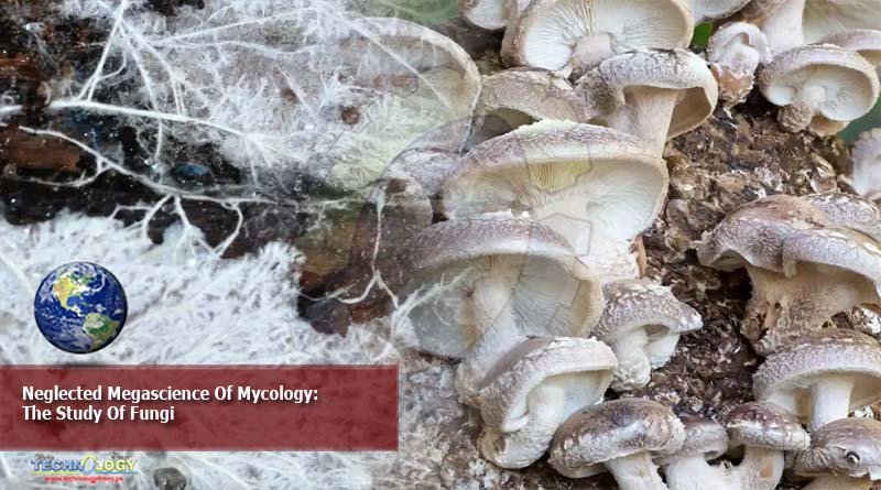 Neglected Megascience Of Mycology: The Study Of Fungi