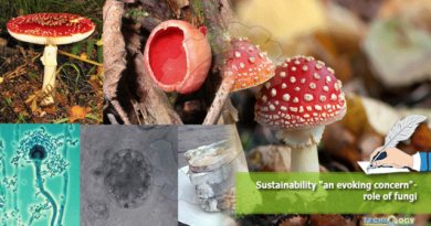 Sustainability-an-evoking-concern-role-of-fungi