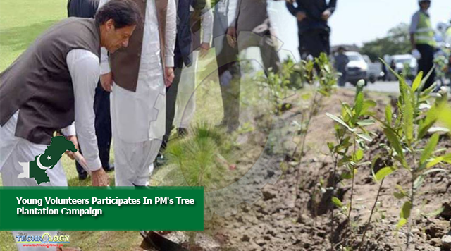 Young Volunteers Participates In PM's Tree Plantation Campaign