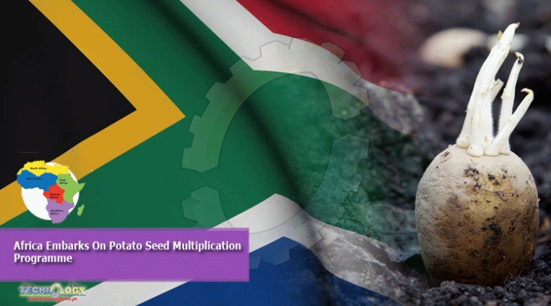 Africa Embarks On Potato Seed Multiplication Programme