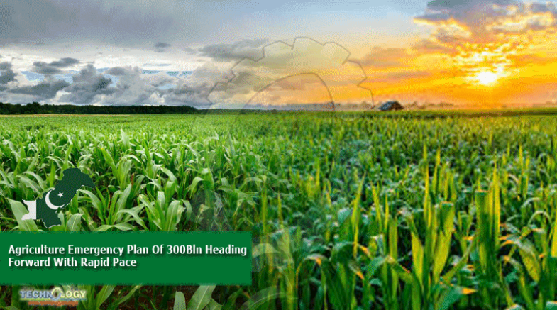 Agriculture Emergency Plan Of 300Bln Heading Forward With Rapid Pace