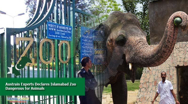 Austrain Experts declares Islamabad zoo dangerous for Animals