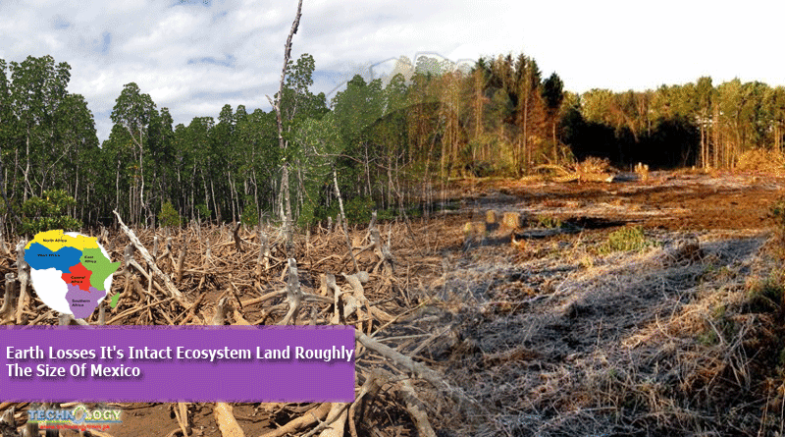 Earth Losses It's Intact Ecosystem Land Roughly The Size Of Mexico