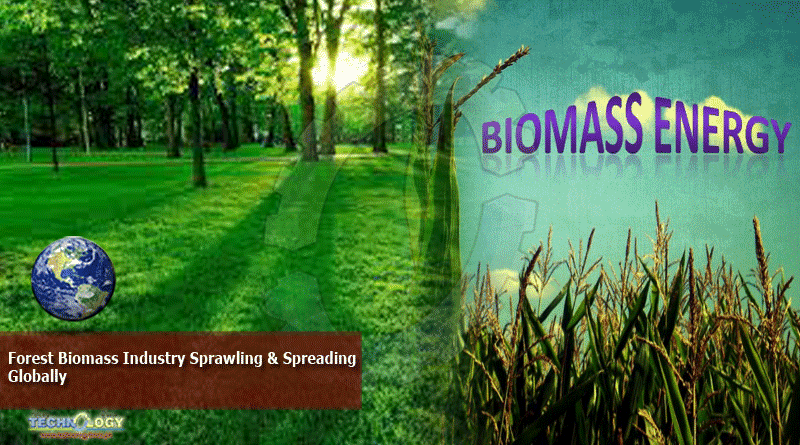 Forest Biomass Industry Sprawling & Spreading Globally