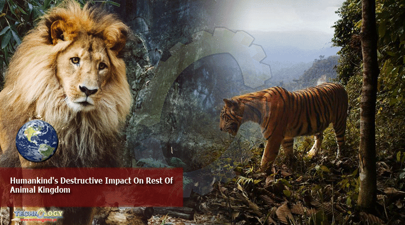 Humankind's Destructive Impact On Rest Of Animal Kingdom