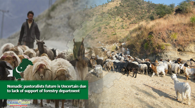 Nomadic pastoralists future is Uncertain due to lack of support of forestry department