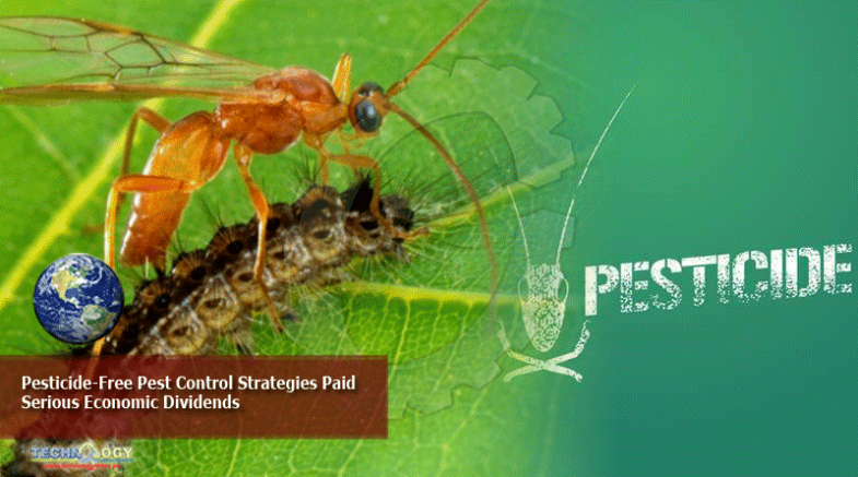 Pesticide-Free Pest Control Strategies Paid Serious Economic Dividends 