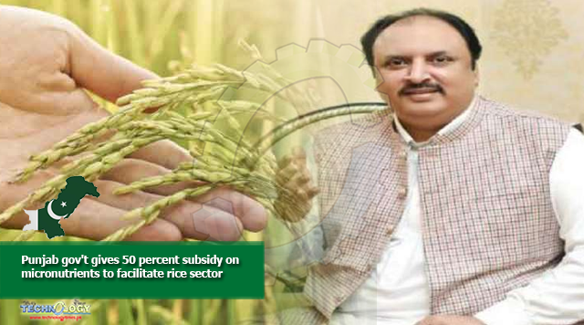Punjab gov't gives 50 percent subsidy on micronutrients to facilitate rice sector