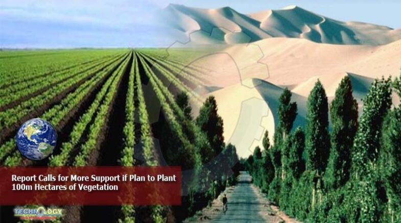 Report calls for more support if plan to plant 100m hectares of vegetation