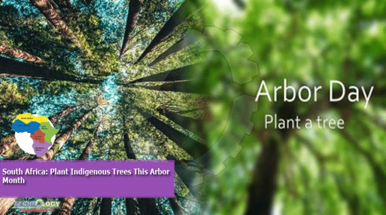 South Africa: Plant Indigenous Trees This Arbor Month