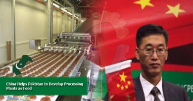 china helps Pakistan to develop processing plants as food
