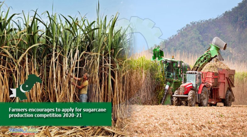 farmers encourages to apply for sugarcane production competition 2020-21