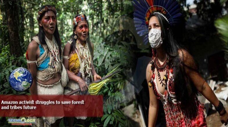 Amazon activist struggles to save forest 