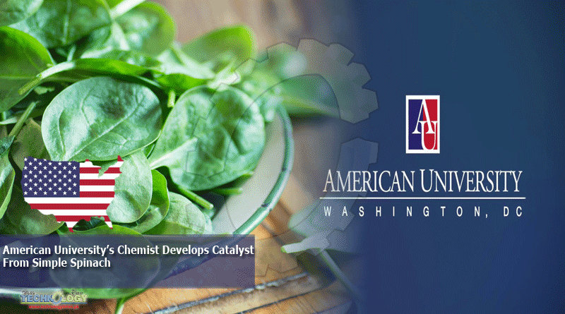 American University’s Chemist Develops Catalyst From Simple Spinach