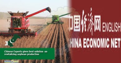 Chinese Experts gives best solution  on revitalizing soybean production