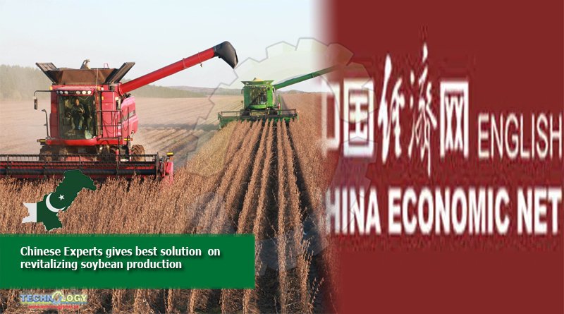 Chinese Experts gives best solution  on revitalizing soybean production