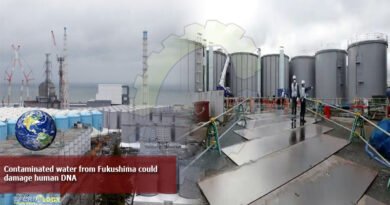 Contaminated water from Fukushima could damage