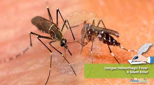 Dengue-Hemorrhagic-Fever-A-Silent-Killer