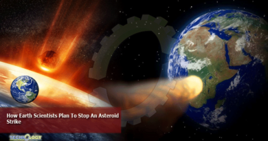 How Earth Scientists Plan To Stop An Asteroid Strike