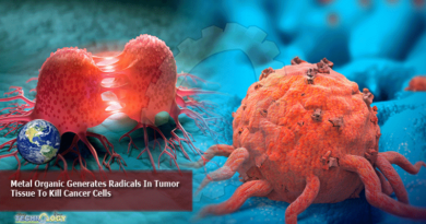 Metal Organic Generates Radicals In Tumor Tissue To Kill Cancer Cells