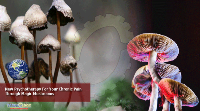New Psychotherapy For Your Chronic Pain Through Magic Mushrooms
