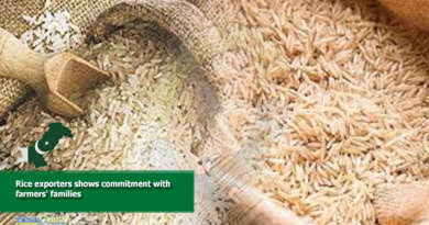 Rice exporters shows commitment with farmers' families