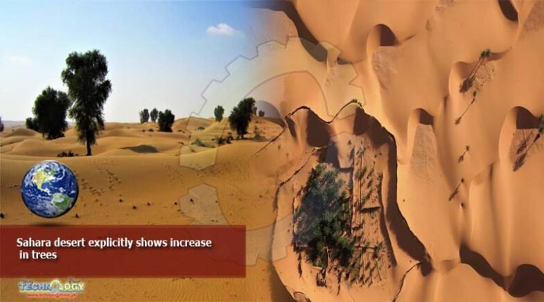 Sahara desert explicitly shows increase in trees