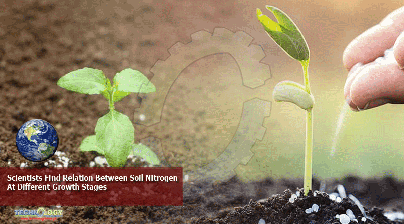 Scientists Find Relation Between Soil Nitrogen At Different Growth Stages