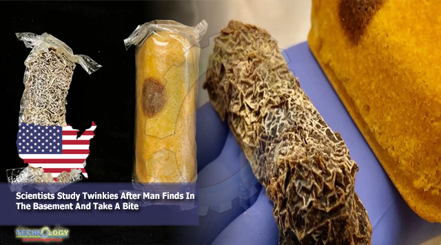 Scientists Study Twinkies After Man Finds In the Basement And Take A Bite