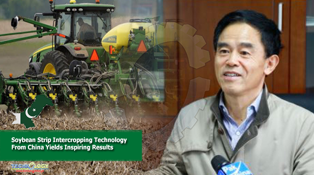 Soybean Strip Intercropping Technology From China Yields Inspiring Results