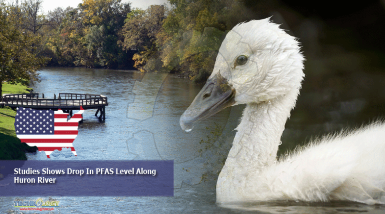 Studies Shows Drop In PFAS Level Along Huron River