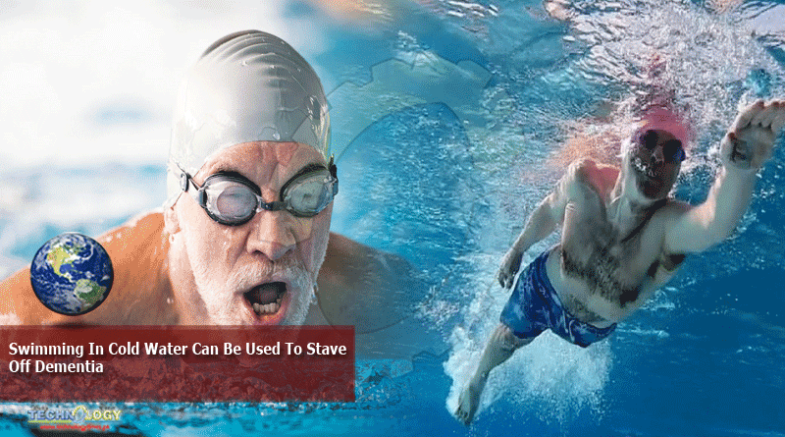 Swimming In Cold Water Can Be Used To Stave Off Dementia
