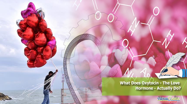 What Does Oxytocin - The Love Hormone - Actually Do?