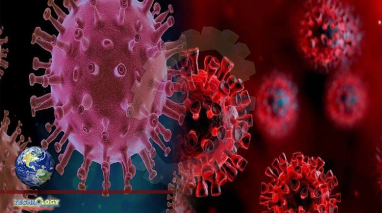Synthetic Mini-Antibody Identified To Combat Coronavirus