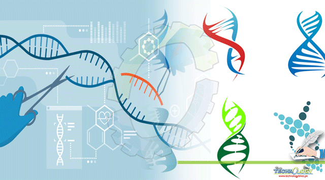 A-Way-To-Better-Understanding-Of-Genome-Editing