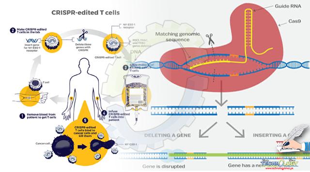 CRISPR: A Novel Tool for Treating Cancer
