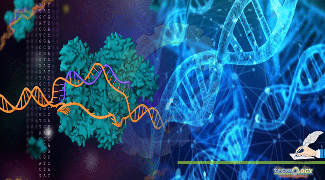 CRISPR-Gene-Editing-Or-Beyond