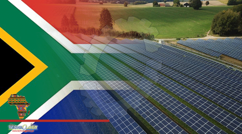 Could Agri PV Be Africa’s Next Big Solar Market Trend?