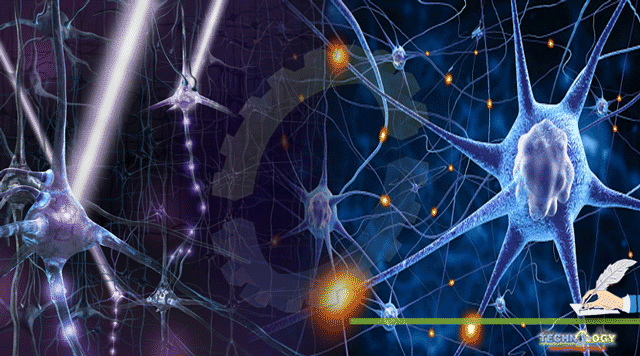 DISCOVERING-THE-BRAIN-OPTOGENETICS