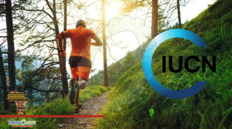 IUCN-IOC Guide: How Sport Can Benefit Nature In Cities