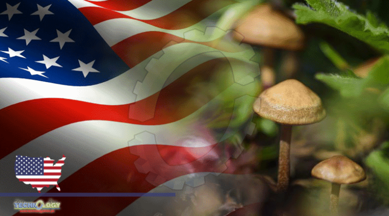 Oregon Is The First State To Legalize Distribution Of Mushrooms
