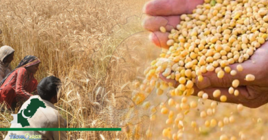 Pakistan distributes 200 tons of high-yielding seed varieties