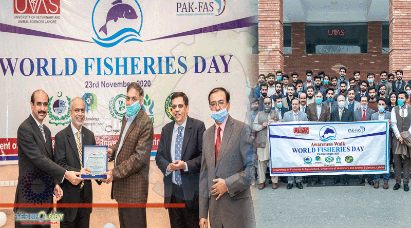 World Fisheries Day Observed At UVAS Ravi Campus