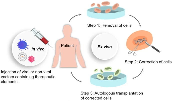 genome-editing