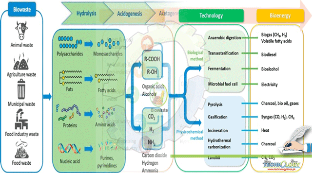 Biowaste-To-Bioenergy-Using-Biological-Methods-–-A-Mini-Review