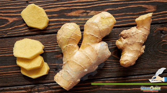 Clinical-aspects-and-health-benefits-of-ginger-Zingiber-officinale-in-both